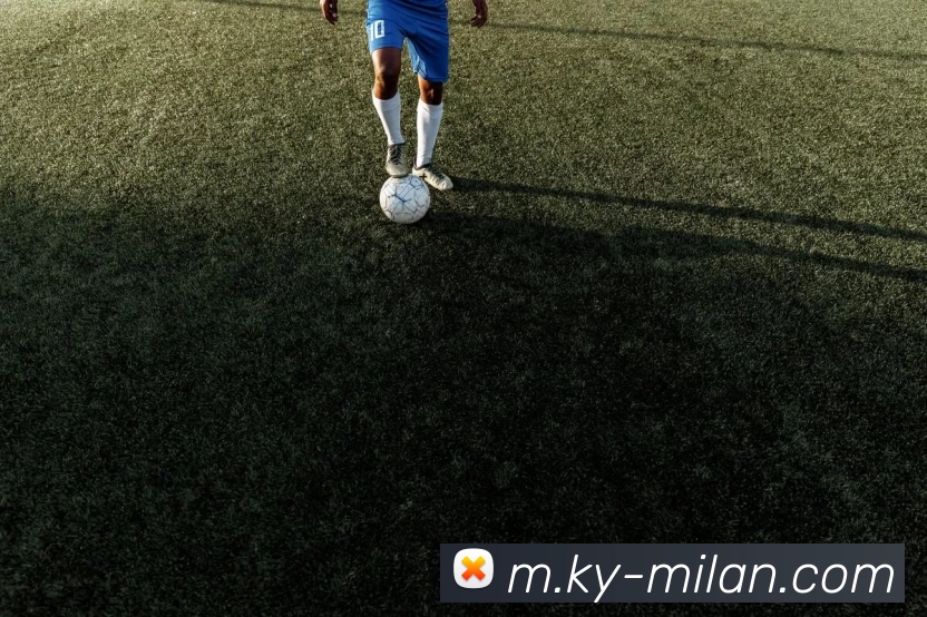 米兰体育平台生态图