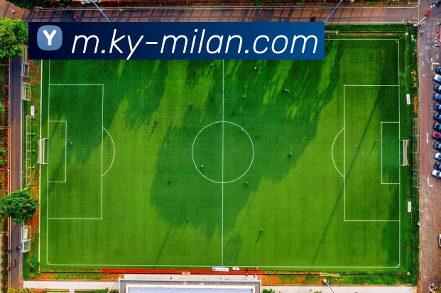 米兰体育APP 封面图